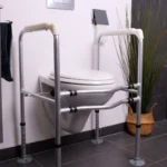 Accoudoirs de toilettes bermudes
