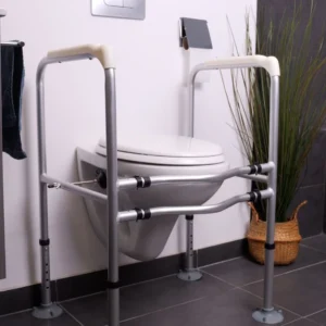 Accoudoirs de toilettes bermudes