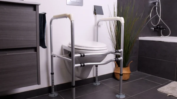 Accoudoirs de toilettes bermudes