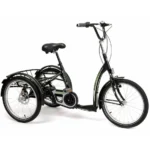 Tricycle adolescent Freedom