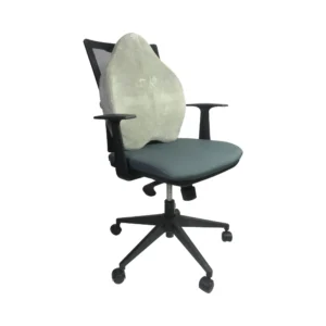 Assise et dossier confort plus Vegelya