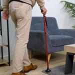 Canne Stabilicane