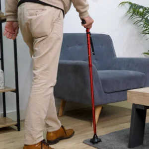 Canne Stabilicane
